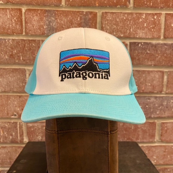 Patagonia Other - Patagonia Snapback